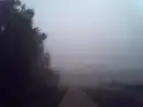Foggy Walkway