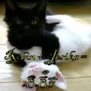 Robin + Jesika