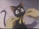 luna luna luna