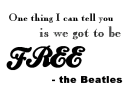 got to be free