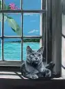 kitten