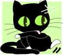 poor kitty