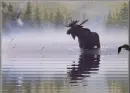 Moosey
