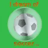 Soccer dream