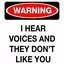 i hear voices