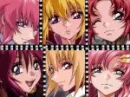 GSD girls