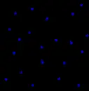 blue red green