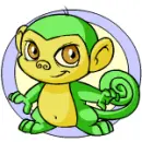 Neopets
