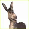donkey hug