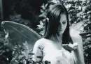 Faerie