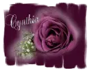 Cynthia