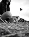 eMo Love