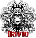 david glitter skull