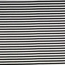 BLACK STRIPES