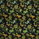 ASIAN LIONS