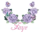 Faye purple roses