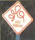 Kidding