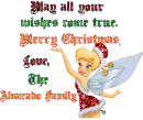 Merry Christmas The Alvarado Family Tinkerbell