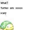 TURTLES!