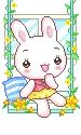 cute baby bunny