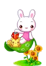 bunny