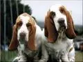 my friends