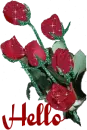 Hello
