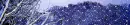 Winter Extended Network