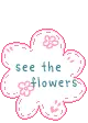 see the flowers