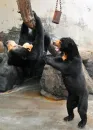Don't tickle me!