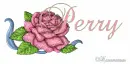 Perry