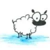 Cute Cartoon Sheep