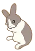 Brown Bunny