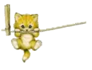 Hangin in There Kitty
