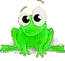 Winking Frog