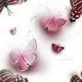 Pink Butterflies