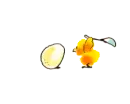 Funny Chickens