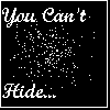 You Can't Hide...