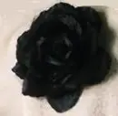 black flower