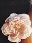 white flower