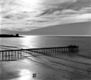 Black and White Beach