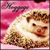 hoggage