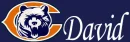 Chicago Bears David Name Tag