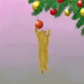 kitty getting the bulb