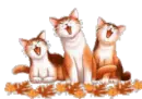 Cats Singing