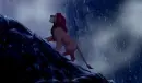 The lion king 