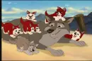 Balto with his puppies