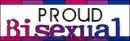 Bi Pride