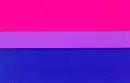 100% Bisexual