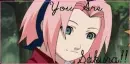You are Sakura !!!